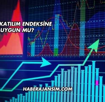 Adra Katılım Endeksine Uygun mu?