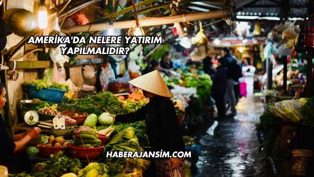 Amerika'da Nelere Yatırım Yapılmalıdır?