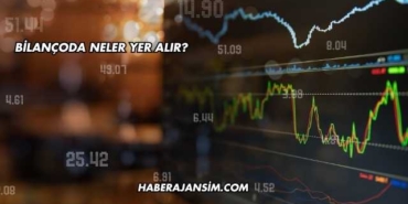 Bilançoda Neler Yer Alır?