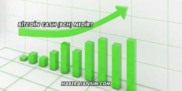 Bitcoin Cash (BCH) Nedir?