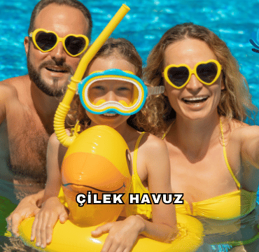 Çilek Havuz Hakkında Sıkça Sorulan Sorular