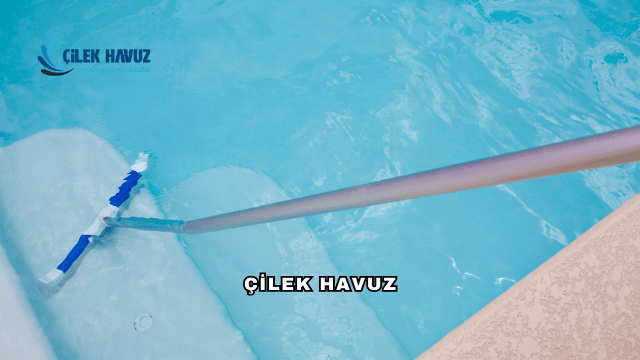 Çilek Havuz Hakkında