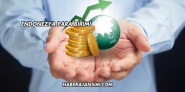 Endonezya Para Birimi