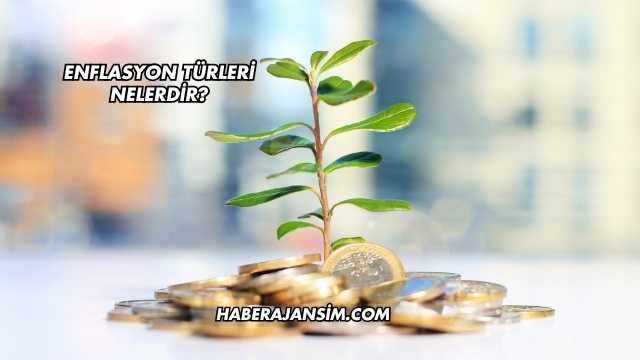 Enflasyon Türleri Nelerdir?