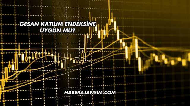 GESAN Katılım Endeksine Uygun mu?