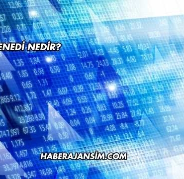 Hisse Senedi Nedir?