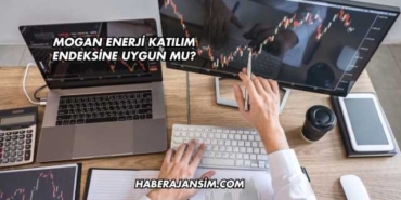 Mogan Enerji Katılım Endeksine Uygun mu?