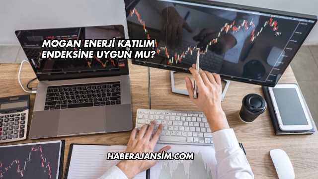 Mogan Enerji Katılım Endeksine Uygun mu?