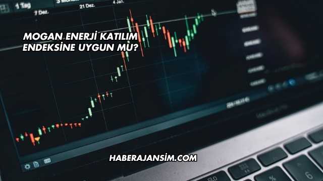 Mogan Enerji Katılım Endeksine Uygun mu?