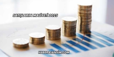 Satışların Maliyeti 2025