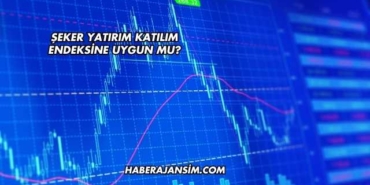 Şeker Yatırım Katılım Endeksine Uygun mu?